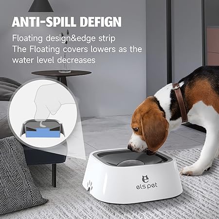 Zero Splash Dog Bowl™ 2.0